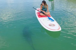 Fort Myers Beach Kayak and SUP Rentals