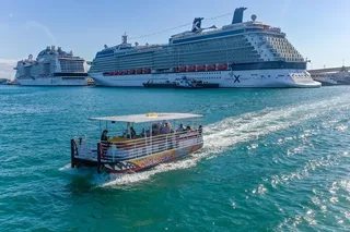 Miami City Cruise of Millionaire's Homes