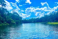 Rainbow Springs Clear Kayak and Paddleboard Tour thumbnail 4