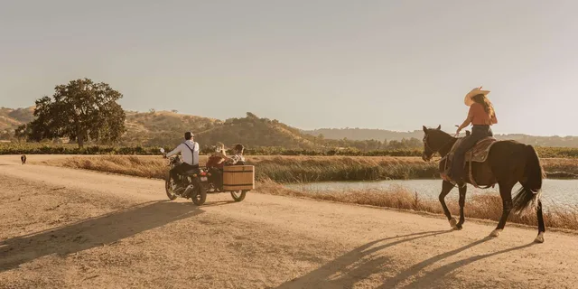 Paso Robles Sidecar Wine Adventure - Image 5