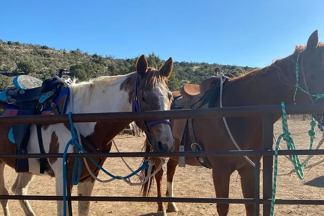 Grand Canyon Horseback Ride - Image 5