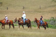 San Francisco Horseback Riding and Muir Woods Adventure thumbnail 2