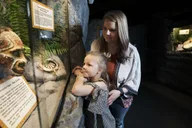 Branson Ripley's Believe It or Not! Admission thumbnail 6
