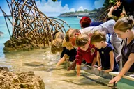 Boston New England Aquarium Admission thumbnail 5