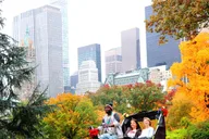 New York City Central Park Pedicab Tour thumbnail 1