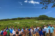 Waco Wine Tour with Tasting and Lunch thumbnail 5
