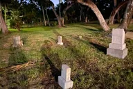 Palmetto Ghost and History Tour with Equipment 90 min thumbnail 4