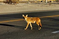 Death Valley Adventure Trip thumbnail 2