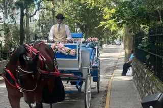 Saint Augustine Horse-Drawn Carriage Tour
