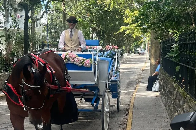 Saint Augustine Horse-Drawn Carriage Tour - Image 1