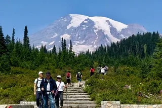 Seattle Mount Rainier Private Day Tour