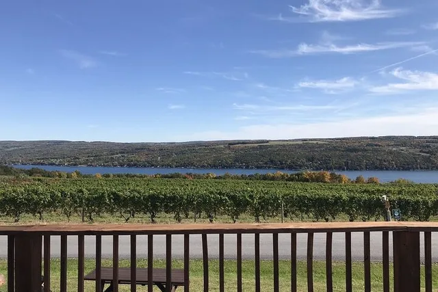 Keuka Lake Winery Tour - Image 6