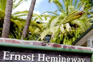 Miami Key West Day Tour by Bus thumbnail 6