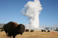 Yellowstone and Grand Teton Self-Guided Audio Driving Tour thumbnail 6