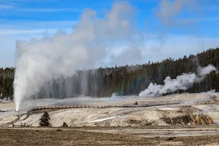 Yellowstone Private National Park Safari