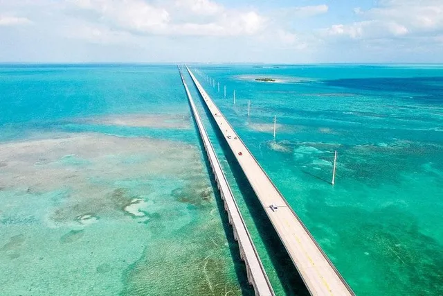 Key West Coral Reef Snorkeling and Open Bar Tour - Image 4