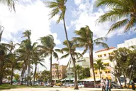 Miami City Tour and Biscayne Bay Cruise thumbnail 4