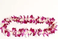 Kahului Airport Flower Lei Greeting thumbnail 1