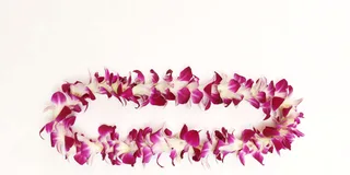 Kahului Airport Flower Lei Greeting
