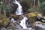 Great Smoky Mountains Clear Creek Falls Hike thumbnail 2