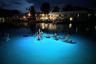 Crystal River Clear Kayak Sunset and Glow Tour