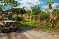 Orlando Disney World Admission with Water Park Option thumbnail 5