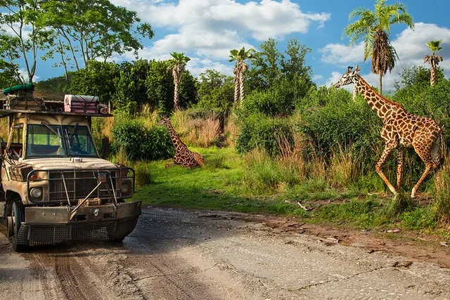 Orlando Disney World Admission with Water Park Option - Image 5