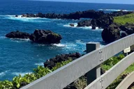 Maui Road to Hana Private Adventure thumbnail 4