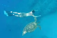 Honolulu Snorkeling and Wildlife Adventure Boat Tour 2 hr thumbnail 4