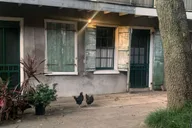 New Orleans French Quarter Supernatural Ghost Hunt 2.5 hr thumbnail 6