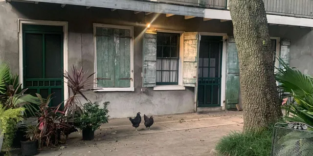 New Orleans French Quarter Supernatural Ghost Hunt 2.5 hr - Image 6