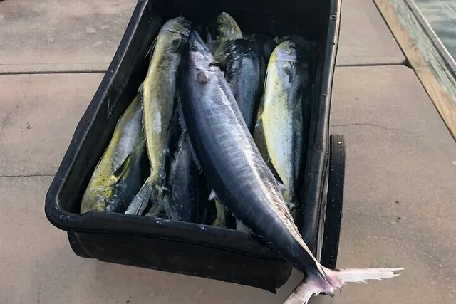 St. Augustine Fishing Charter - Image 2