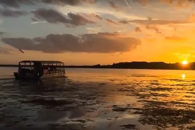 Florida Everglades Wildlife Boat Tour 90 Min - Image 6