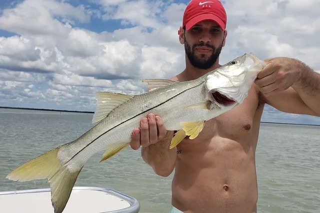 Miami Inshore Flats Fishing Tour 4 hr - Image 5