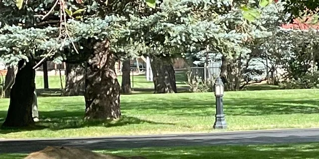 Colorado Springs Segway Tour in Cheyenne Cañon - Image 6
