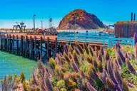 Morro Bay Private Stroll & Savory Delights Tour 2 hr thumbnail 1