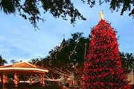 St. Augustine Nights of Lights Celebration thumbnail 6