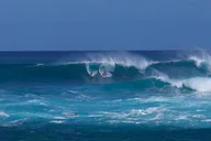 Oahu North Shore Tour with Waimea Waterfall thumbnail 4