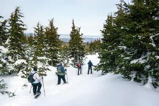 Anchorage Snowshoeing Adventure