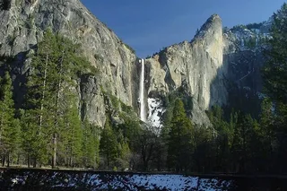 Cupertino Yosemite National Park Tour