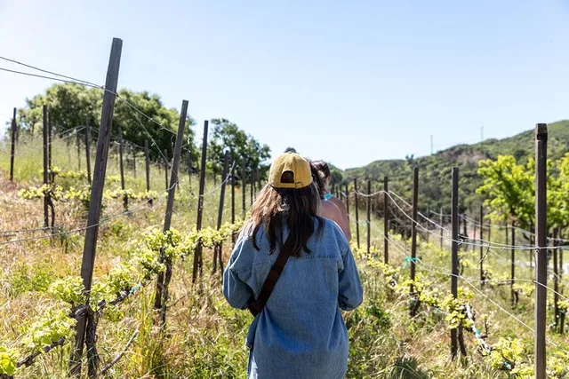 Malibu Vineyard Hike with Wine - Image 2