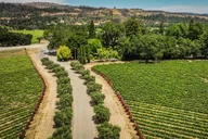 Napa Valley E-Bike Tour thumbnail 5