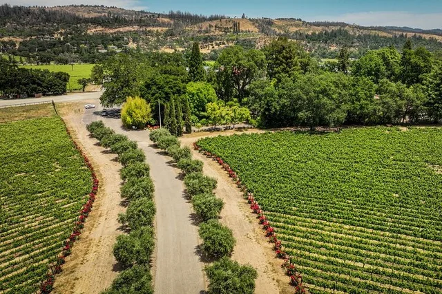 Napa Valley E-Bike Tour - Image 5