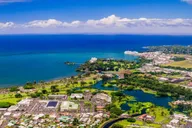 Hilo Waterfalls and Volcanoes Guided Tour thumbnail 3