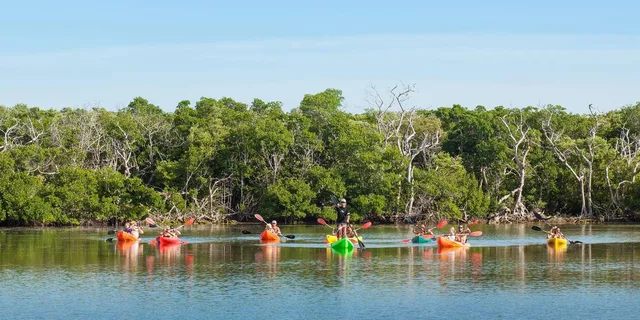 Key West Kayaking, Snorkeling & Sunset Sail - Image 2