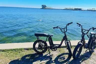 Saint Petersburg Electric Bike Rental thumbnail 2