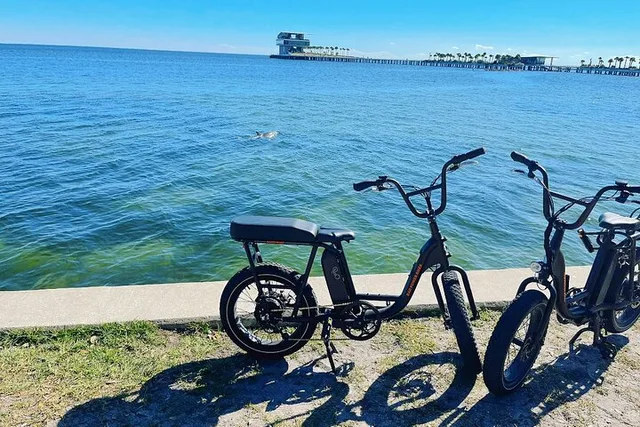 Saint Petersburg Electric Bike Rental - Image 2