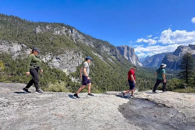 Yosemite Private Tour with Lunch - Image 3