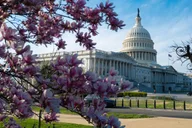 Washington DC Private Walking Tour of Downtown and White House thumbnail 4