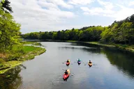 Cape Cod Kayak Tour at Sunset thumbnail 6